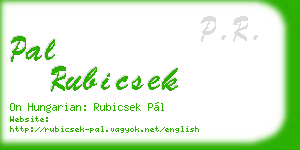pal rubicsek business card