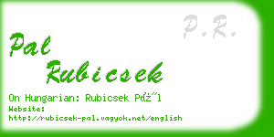 pal rubicsek business card